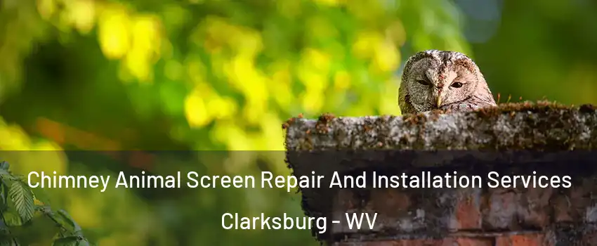  Chimney Animal Screen Repair And Installation Services Clarksburg - WV